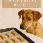 Baked Dog Treat Recipes