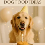 Birthday Dog Food Ideas