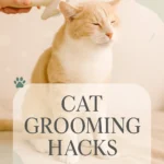 Cat Grooming Hacks