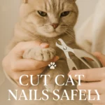 Cut Cat Nails Safely