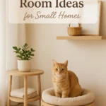 Cute Cat Room Ideas for Small Homes