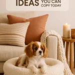 Cute Pet Decor Ideas You Can Copy Today