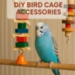 DIY Bird Cage Accessories