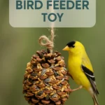 DIY Bird Feeder Toy