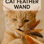 DIY Cat Feather Wand