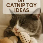 DIY Catnip Toy Ideas