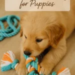 DIY Chew Toy for Puppies