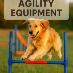 DIY Dog Agility Equipment