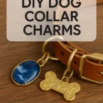DIY Dog Collar Charms