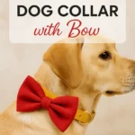 DIY Dog Collar with Bow