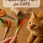 DIY Feather Toy for Cats