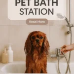 DIY Pet Bath Station