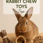DIY Rabbit Chew Toys