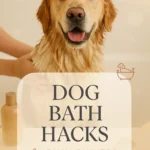 Dog Bath Hacks for Busy Owners