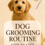 Dog Grooming Routine Step by Step