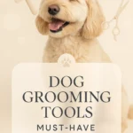 Dog Grooming Tools Must Have