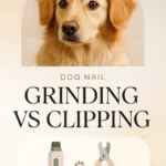 Dog Nail Grinding vs Clipping