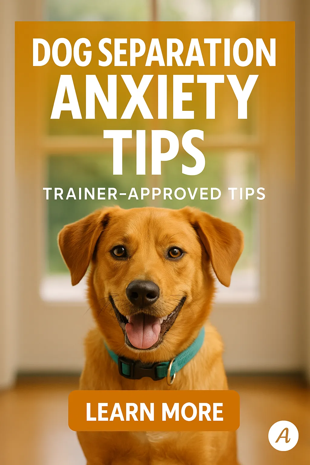 Dog Separation Anxiety Tips