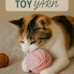 Easy Cat Toy from Yarn