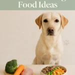 Easy Homemade Dog Food Ideas