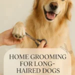 Groom Dog Paws and Pads