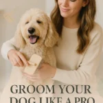 Groom Your Dog like a Pro