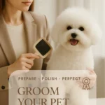 Groom Your Pet before Show