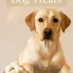 Homemade Frozen Dog Treats
