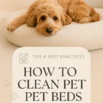 How to Clean Pet Beds Properly