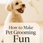 How to Make Pet Grooming Fun