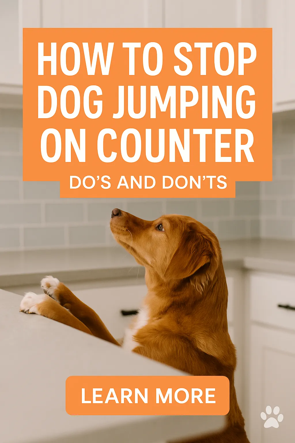 How to Stop Dog Jumping on Counter