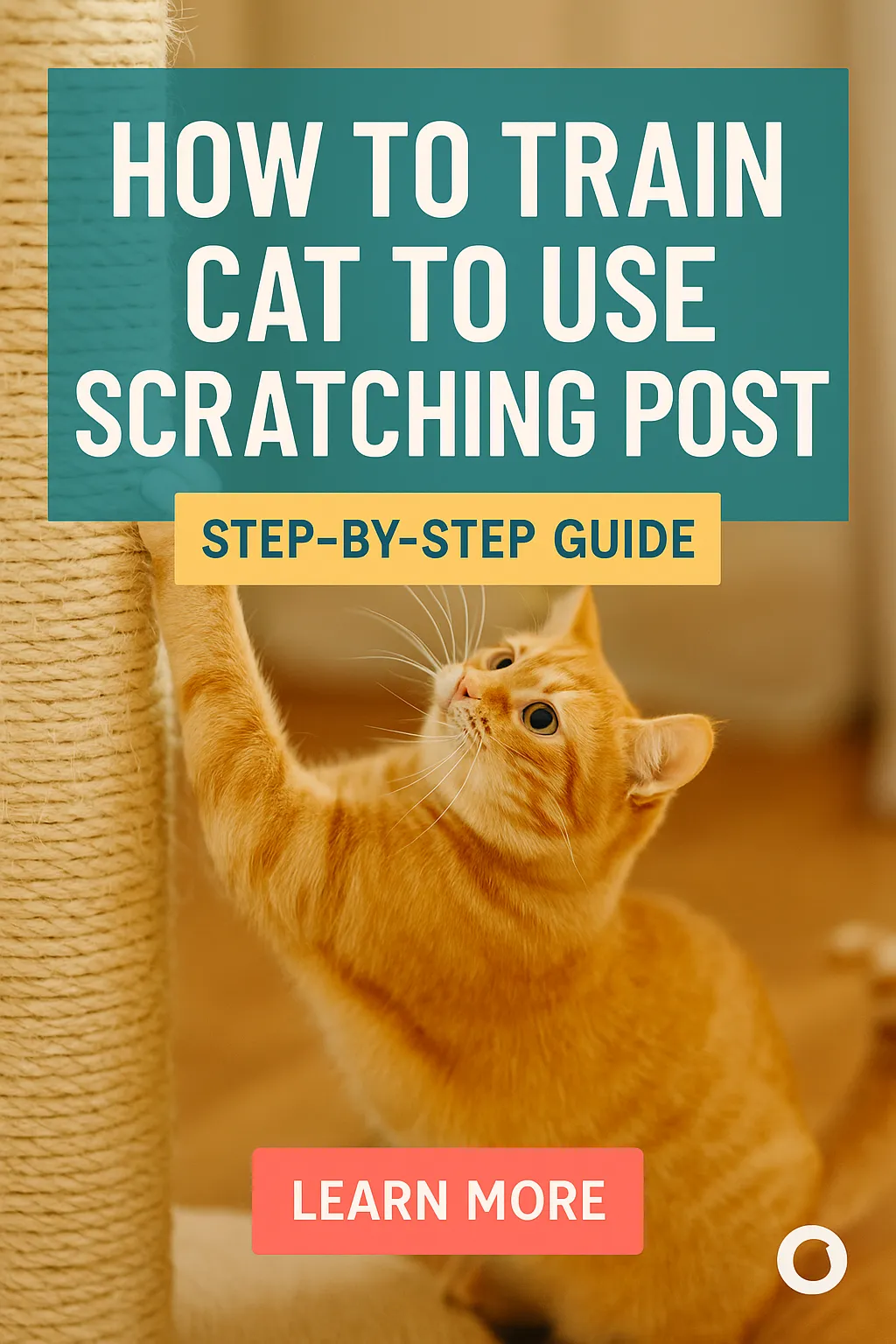 How to Train Cat to Use Scratching Post