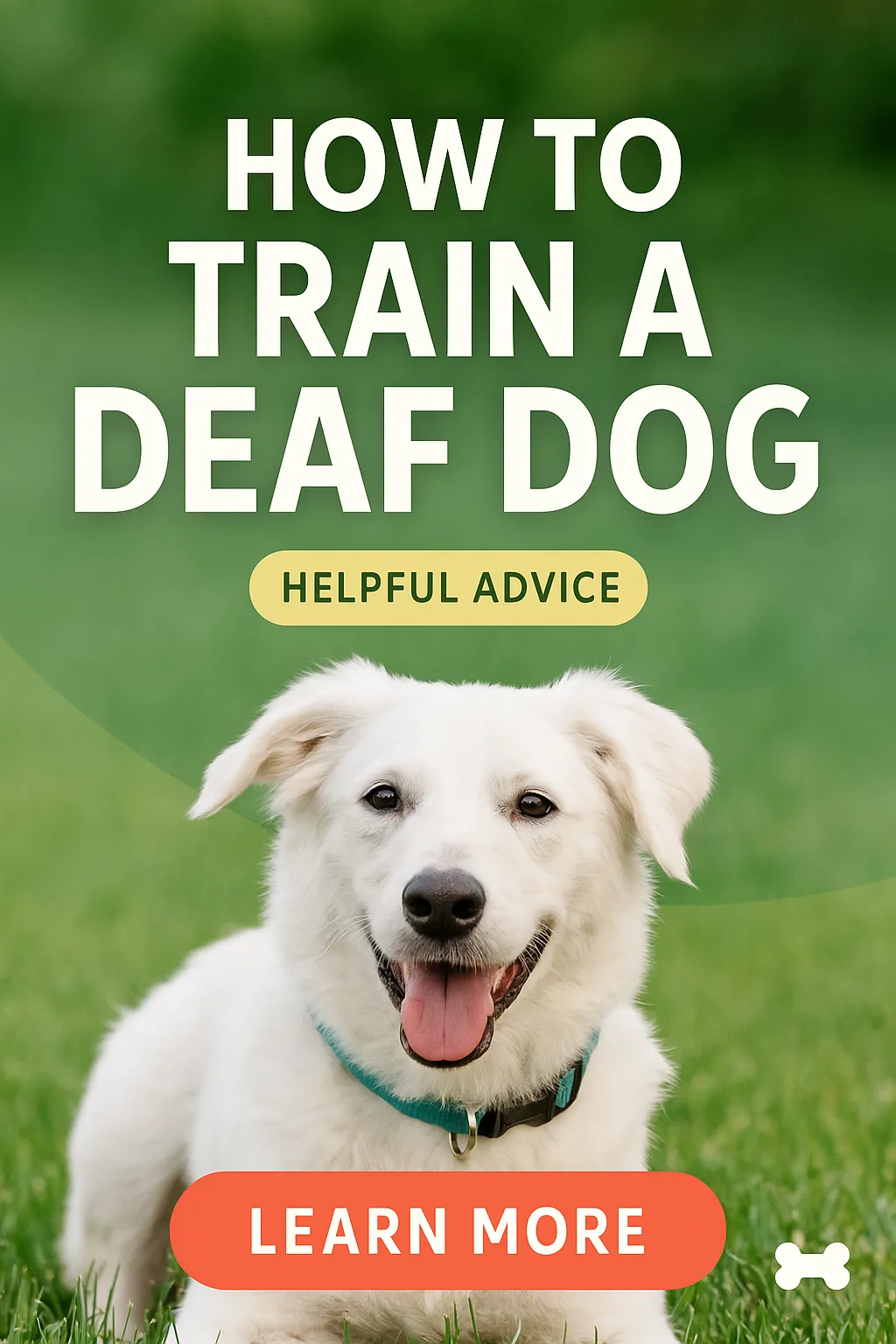 How to Train a Deaf Dog