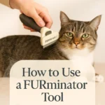 How to Use a Furminator Tool