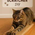 Make Cat Scratcher DIY