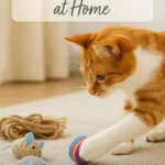 Make Cat Toys at Home
