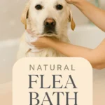 Natural Flea Bath for Pets