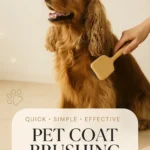 Pet Coat Brushing Hacks