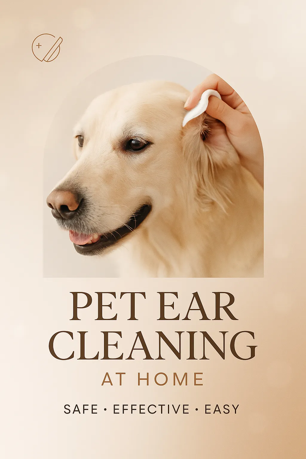 Pet Ear Cleaning at Home