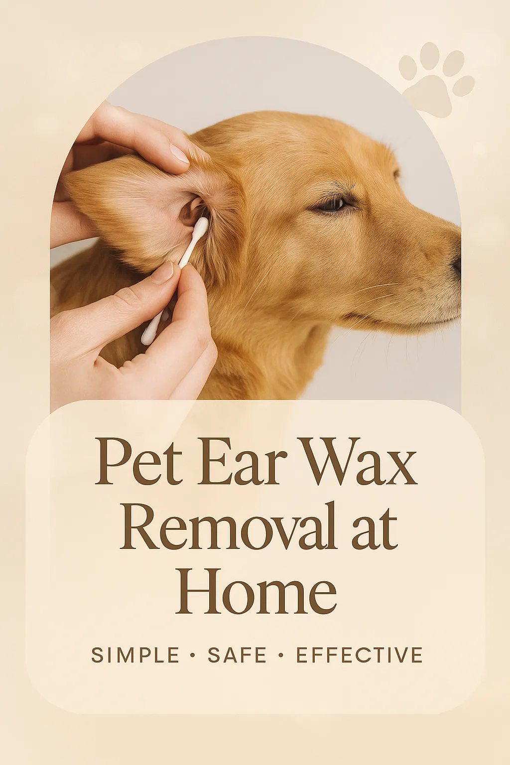Pet Ear Wax Removal at Home