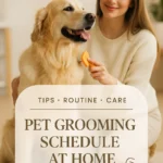 Pet Grooming Schedule at Home