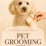 Pet Grooming Tips for Allergies