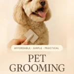 Pet Grooming on a Budget