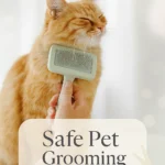 Safe Pet Grooming Products