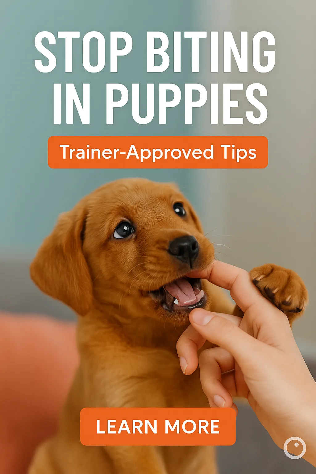 Stop Biting in Puppies