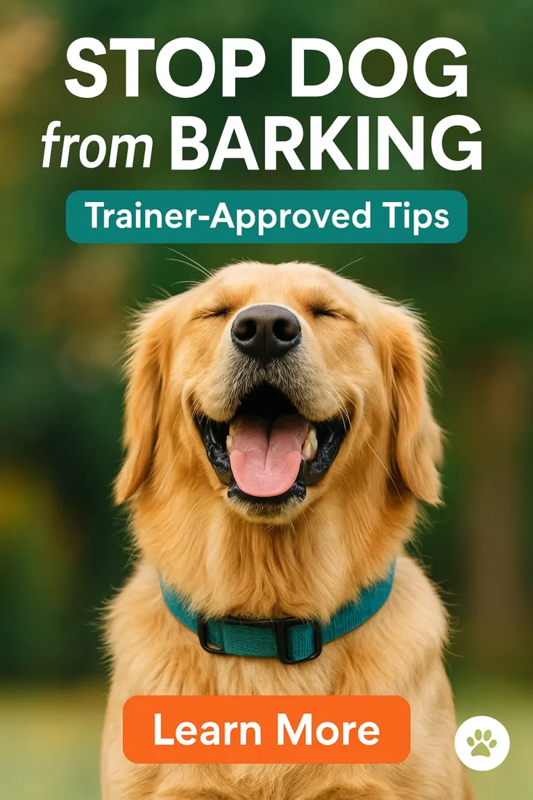 Stop Dog from Barking Tips