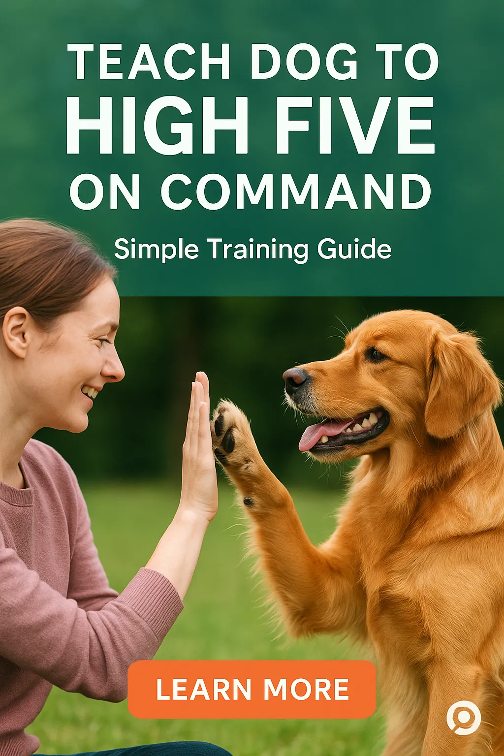 Teach Dog to High Five on Command