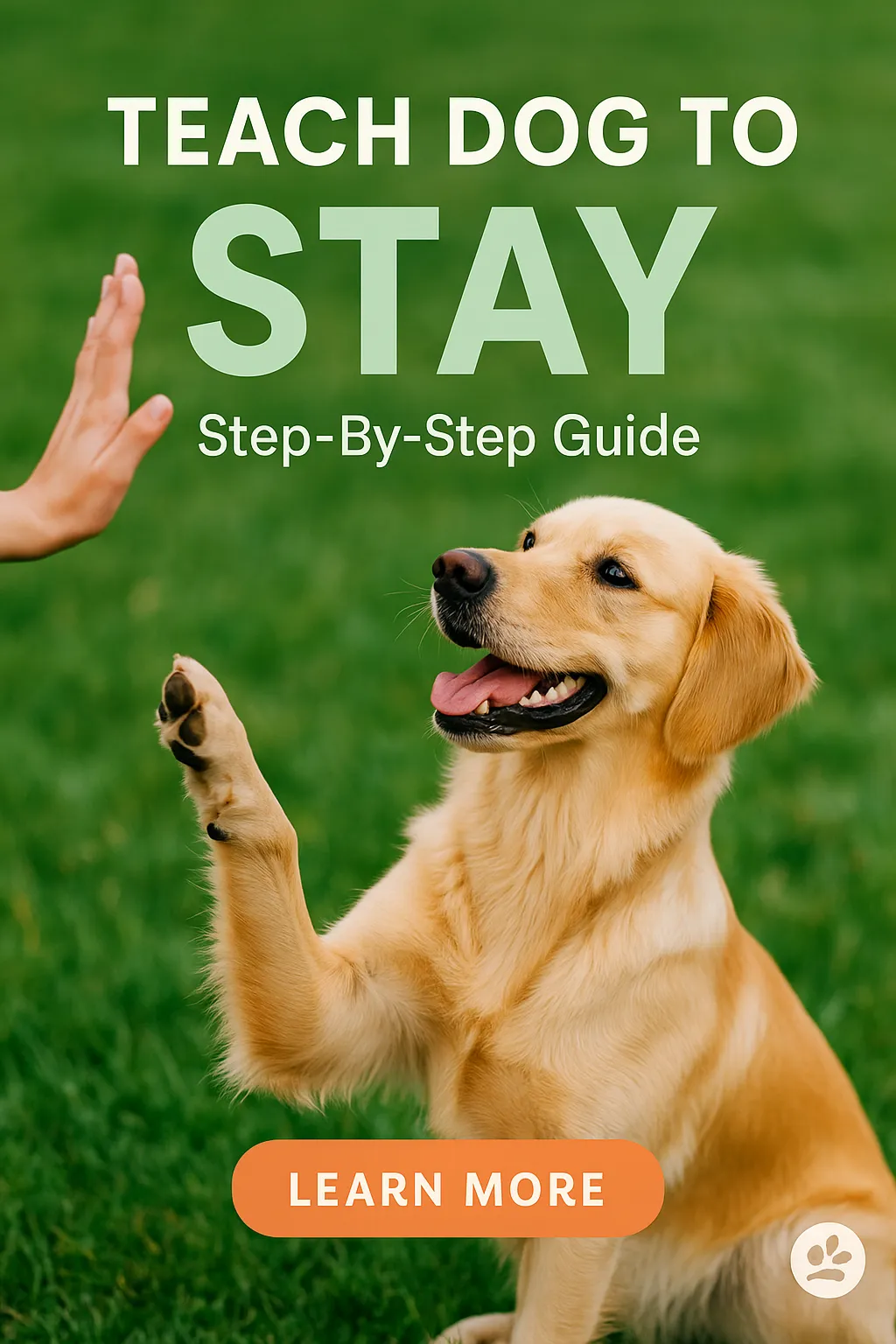 Teach Dog to Stay