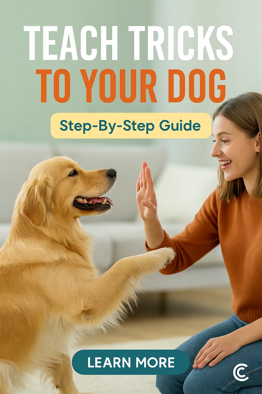 Teach Tricks to Your Dog