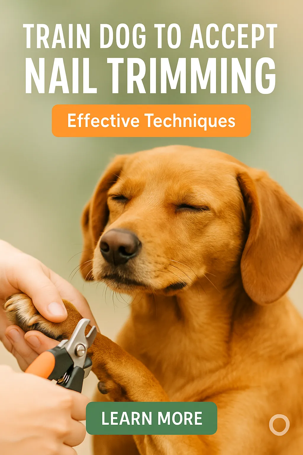 Train Dog to Accept Nail Trimming